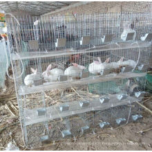 Hebei Anping Country Baiyi pas cher grande et cage de lapin en métal à vendre